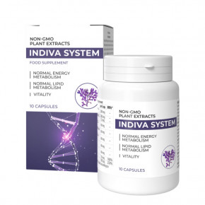 InDiva System